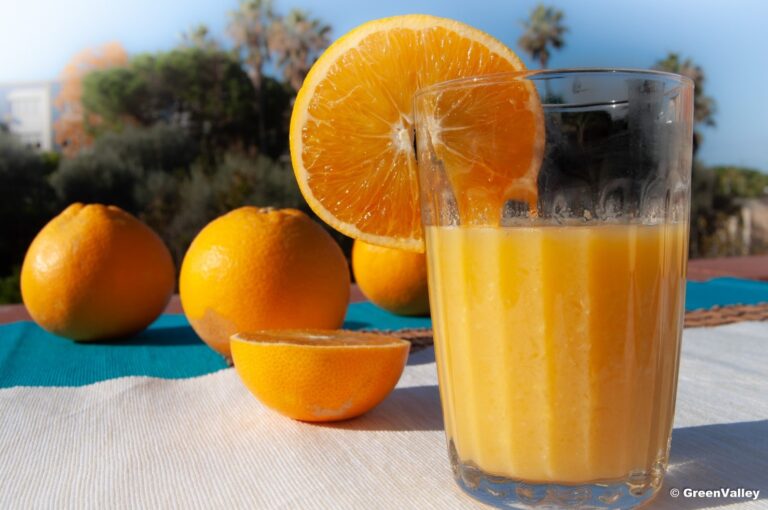 La Spremuta d’arancia e i suoi benefici Green Valley La Spremuta d’arancia e i suoi benefici Green Valley
