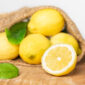limoni biologici Sicilia femminello
